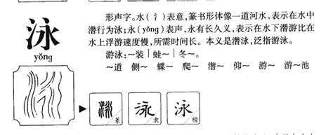 泳字五行|泳的意思，泳字的意思